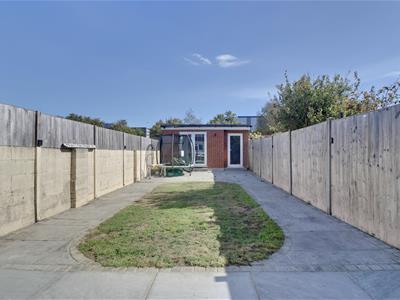 Picture 10